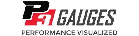P3 Gauges